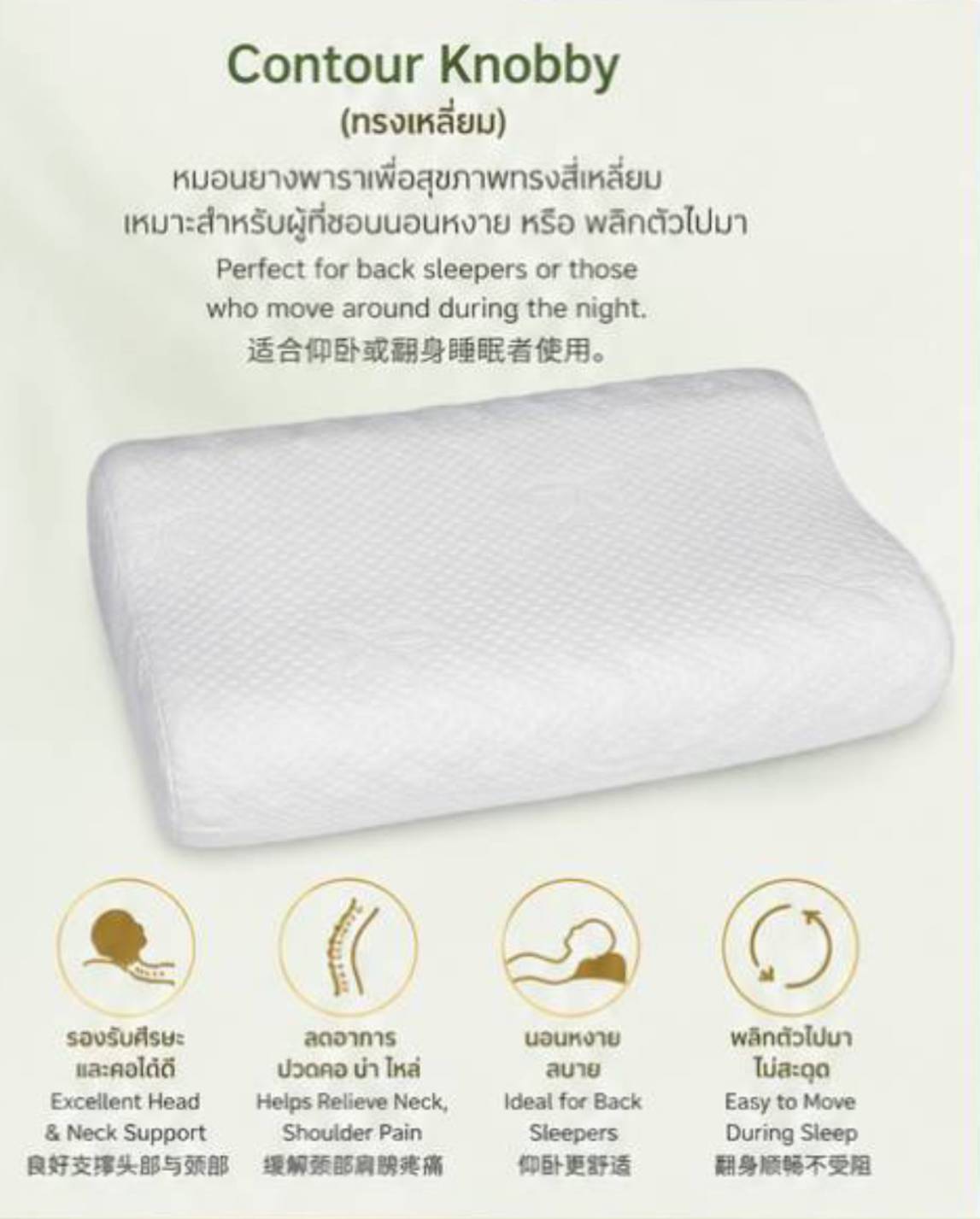 THAIROYAL รุ่น CONTOUR สำหรับการนอนหงาย * SLEEP ON BACK